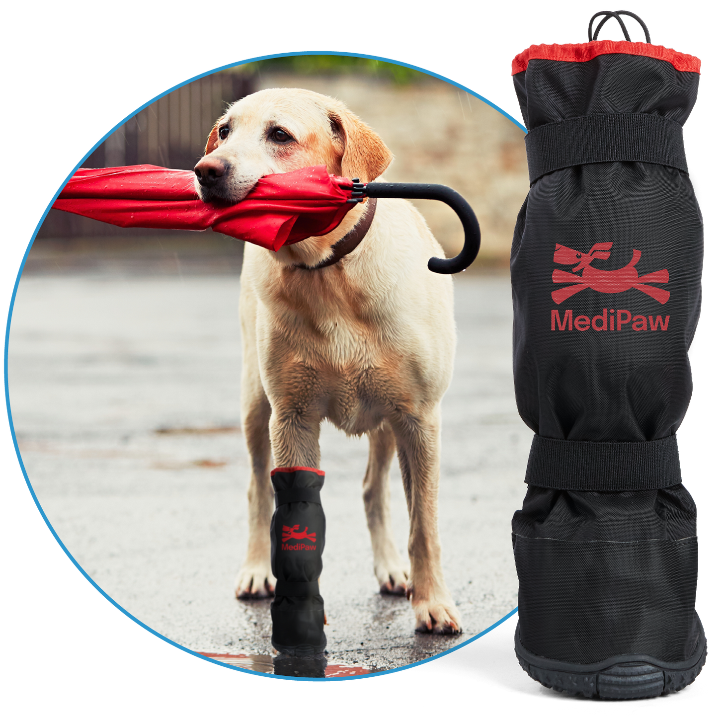 A dog holds a red umbrella and wears a single MediPaw Rugged X-Boot on one leg, showcasing the MediPaw logo. The boot is also featured separately on the right.