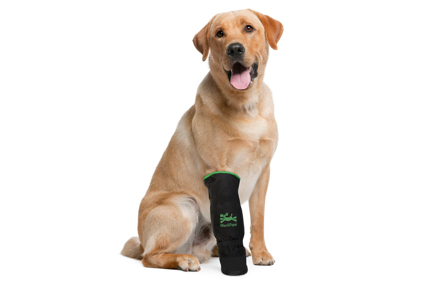 A Labrador Retriever sits with a front leg wrapped in a black MediPaw Rugged X-Boot.