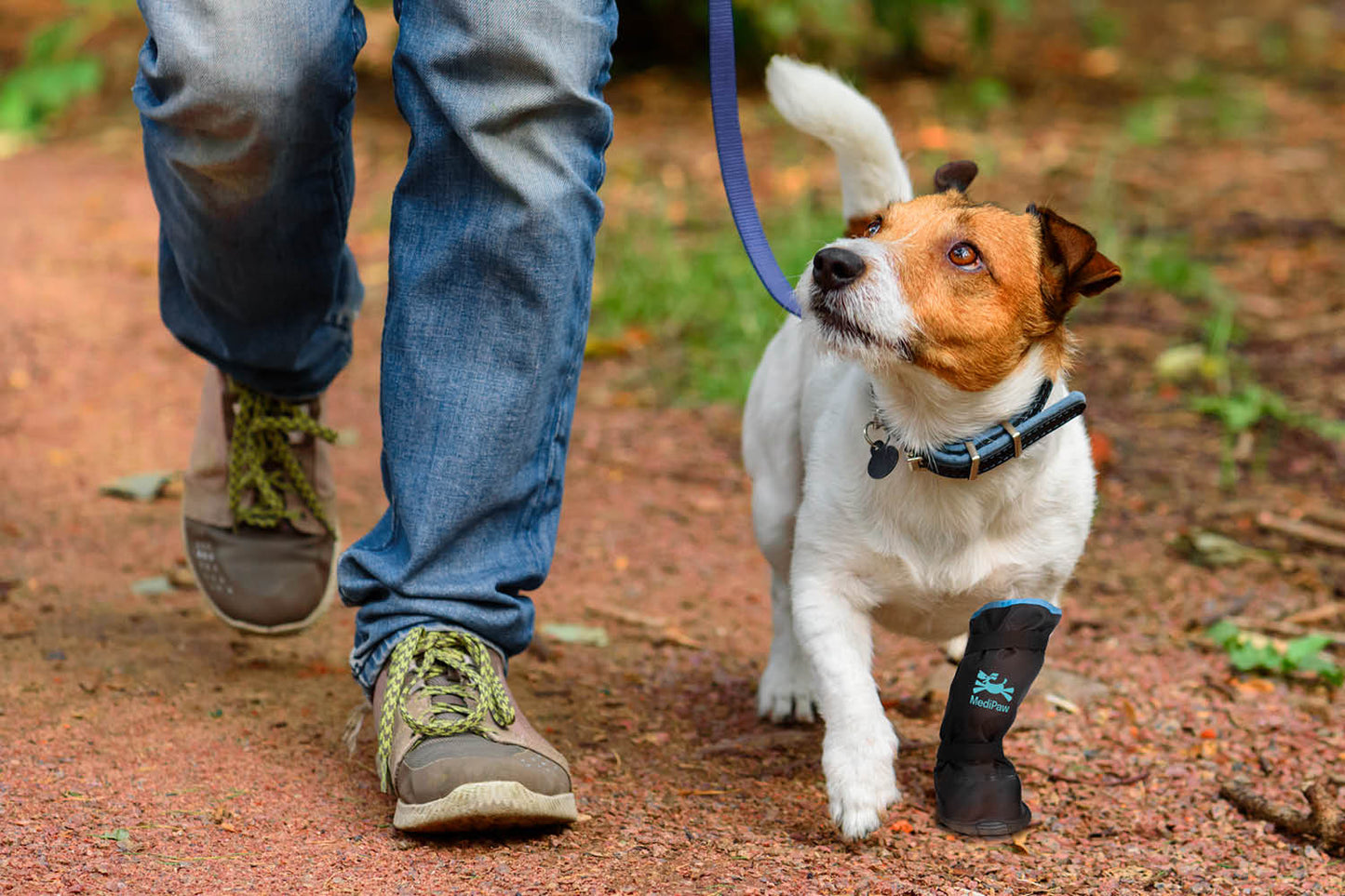 A small dog sporting a MediPaw Rugged X-Boot prosthetic front leg walks with someone in jeans and green shoes on a dirt path, providing support and protection for their adventure.