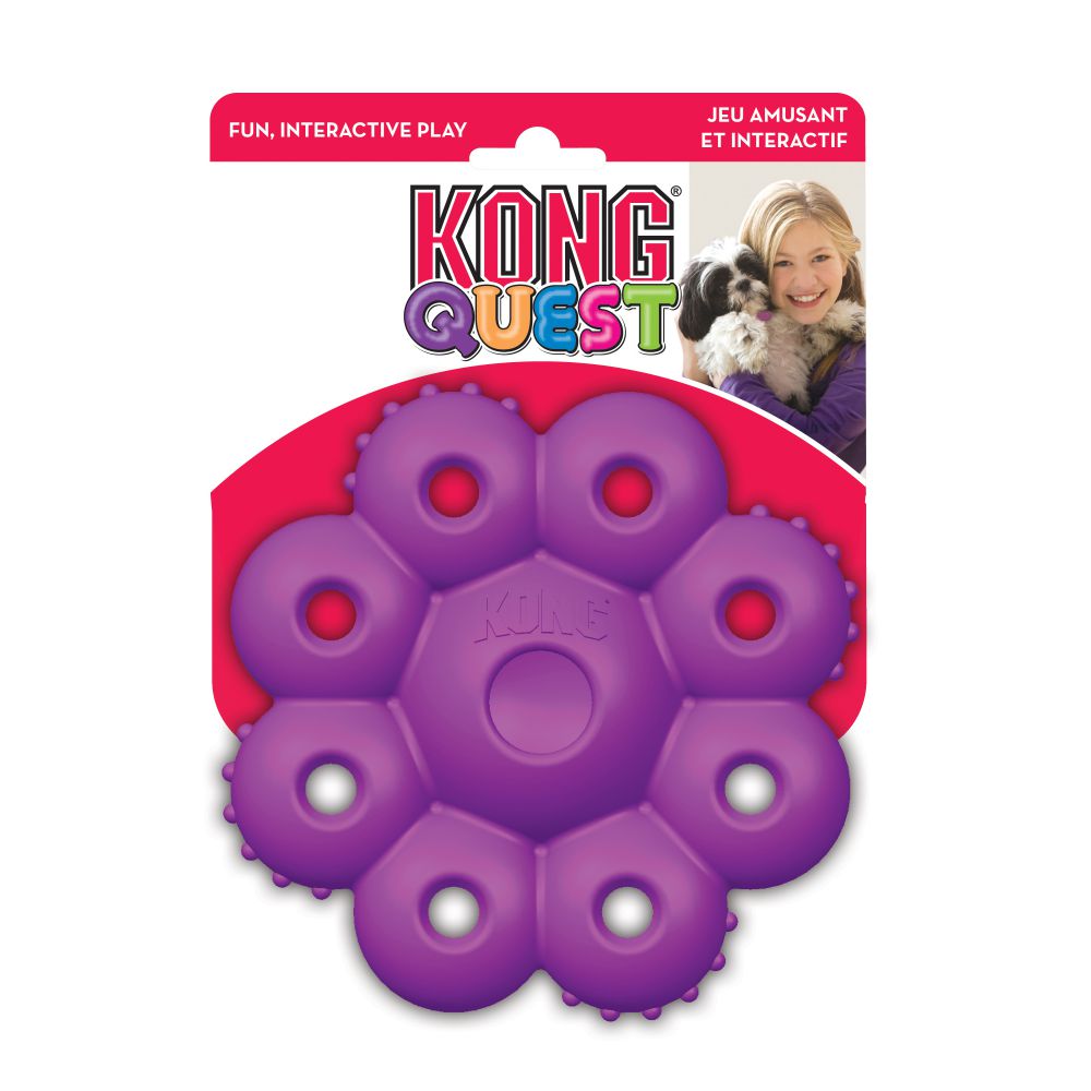 The KONG Quest Star Pod dog toy, ideal for light chewers, has a star-shaped design to encourage natural foraging, all set against a white background.