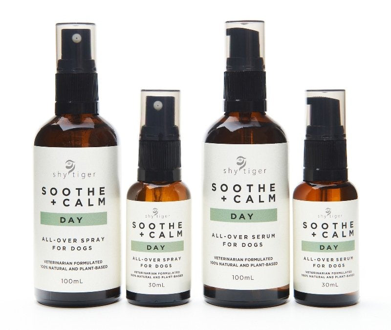 Four bottles of Your Whole Dog's Shy Tiger Soothe + Calm DAY Spray, a calming solution featuring Tasmanian lavender oil, are available in two convenient sizes.