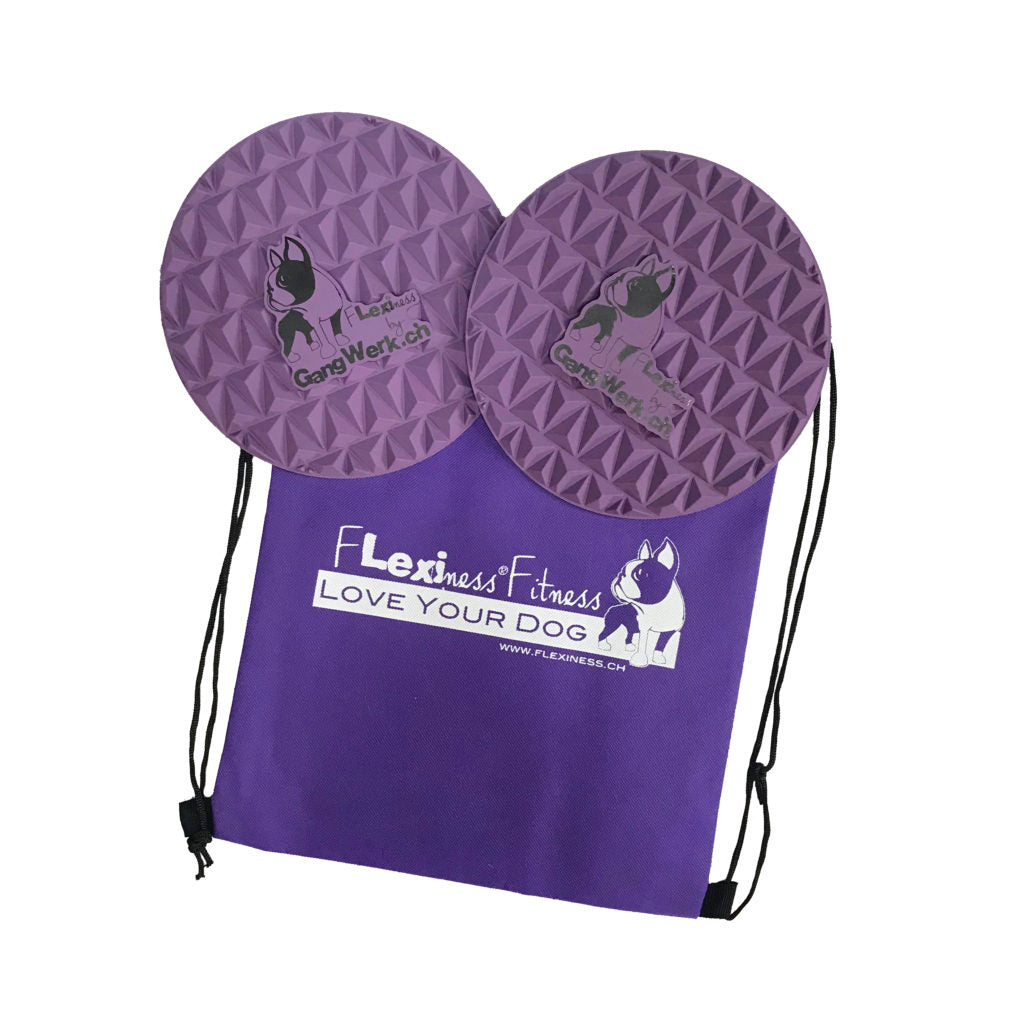 The Flexiness SensiTarget by Your Whole Dog includes two purple balance discs featuring animal graphics, along with a purple drawstring bag labeled "Flexiness Fitness Love Your Dog." These discs provide tactile stimulation to enhance perception and are perfect for making targeted exercises engaging and enjoyable for both you and your pet.