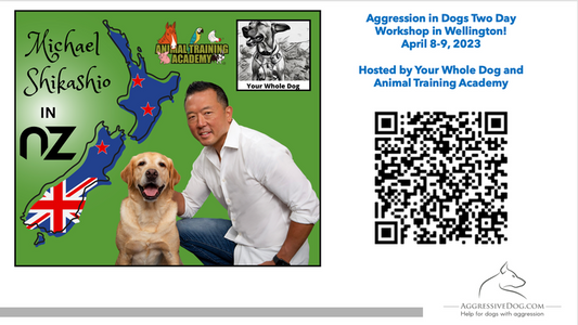 Aggression in Dogs and Defensive Handling with Michael Shikashio