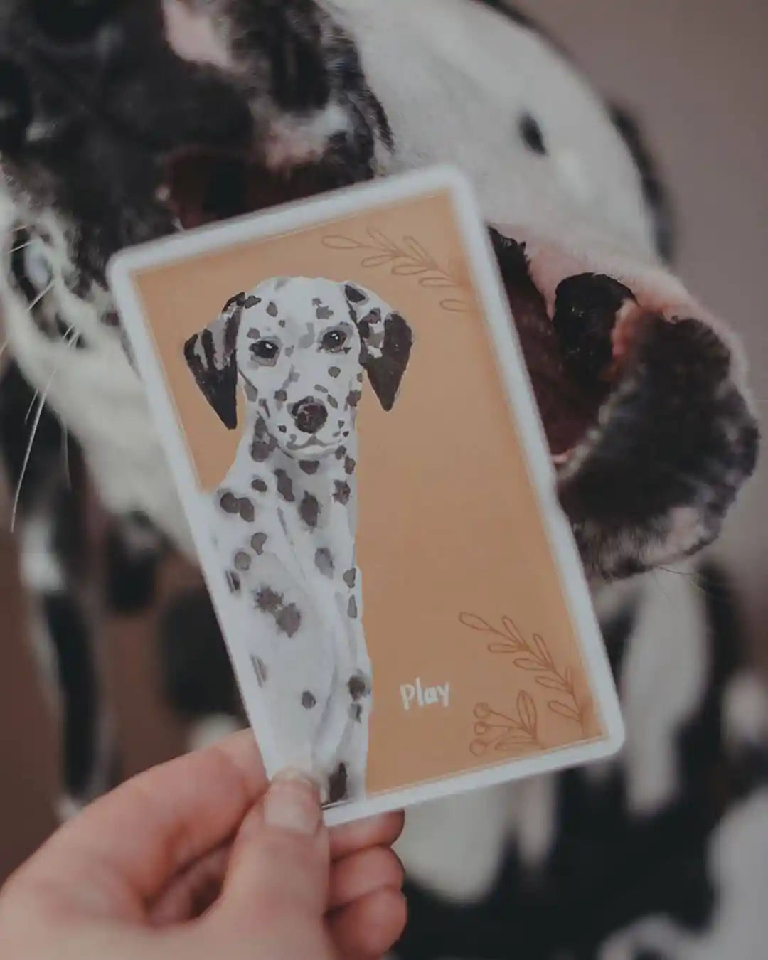 A person holds a Calm Dog Games - Brain Games & Enrichment Activity Deck card with an illustration of a dalmatian in front of a real dalmatian dog, aligning the card to camouflage half of the dog's face as part of Your Whole Dog.