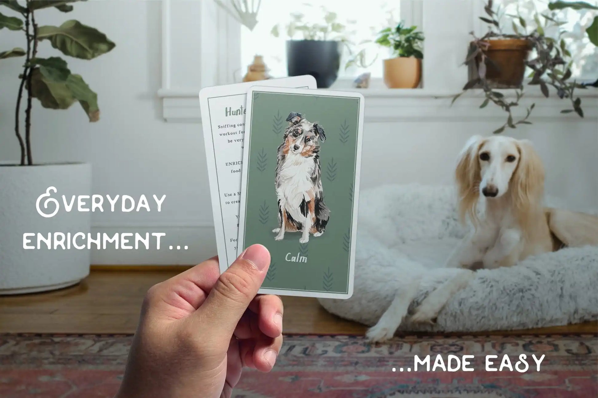 A person holding up two illustrated Calm Dog Games - Brain Games & Enrichment Activity Deck cards in a living room with a real dog sitting on the floor looking at the camera. Text on image reads "everyday enrichment activities... made easy.