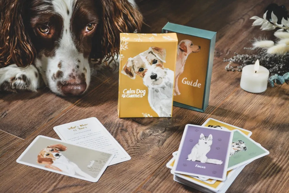 A springer spaniel looks at a scattered set of dog-themed playing cards beside two Calm Dog Games - Brain Games & Enrichment Activity Deck boxes titled 'brain games for dogs' and 'guide' by Your Whole Dog.