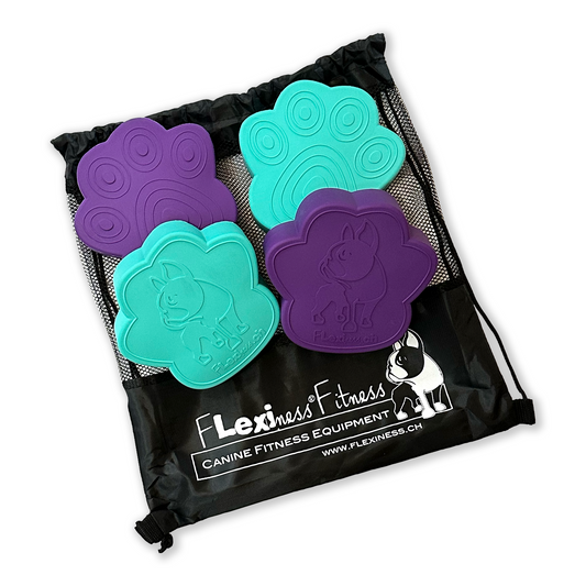 Four teal and purple Flexiness ToyPawDiscs from Flexiness Canine Fitness Equipment are shown on a black mesh bag with a dog illustration, perfect for building your dog's core strength with quality canine fitness gear.