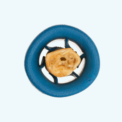 The West Paw Funnl is a round blue dog toy by West Paw, designed to hold an edible treat in the center. Perfect for fetch, it's shown against a white background.