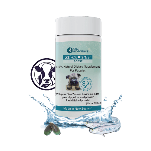 A 50g tub of GNZ Bioscience SEWA Pup Boost powder, sold by Your Whole Dog