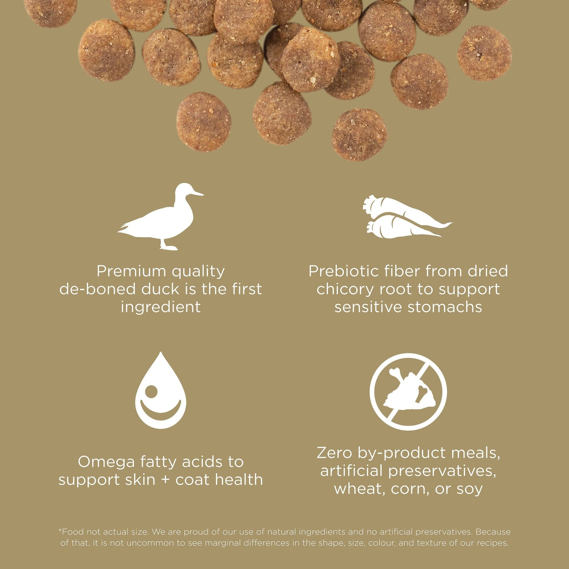 Go! Solutions SENSITIVITIES Grain Free Limited Ingredient Duck Recipe Dog Food features brown round kibble with icons for deboned duck, dried chicory root, omega fatty acids, and no by-product meals or artificial additives.