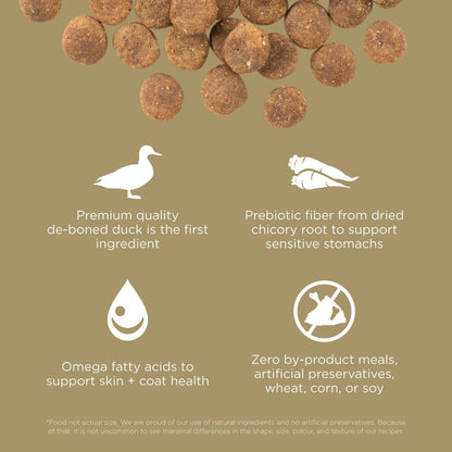Go! Solutions SENSITIVITIES Grain Free Limited Ingredient Duck Recipe Dog Food features brown round kibble with icons for deboned duck, dried chicory root, omega fatty acids, and no by-product meals or artificial additives.