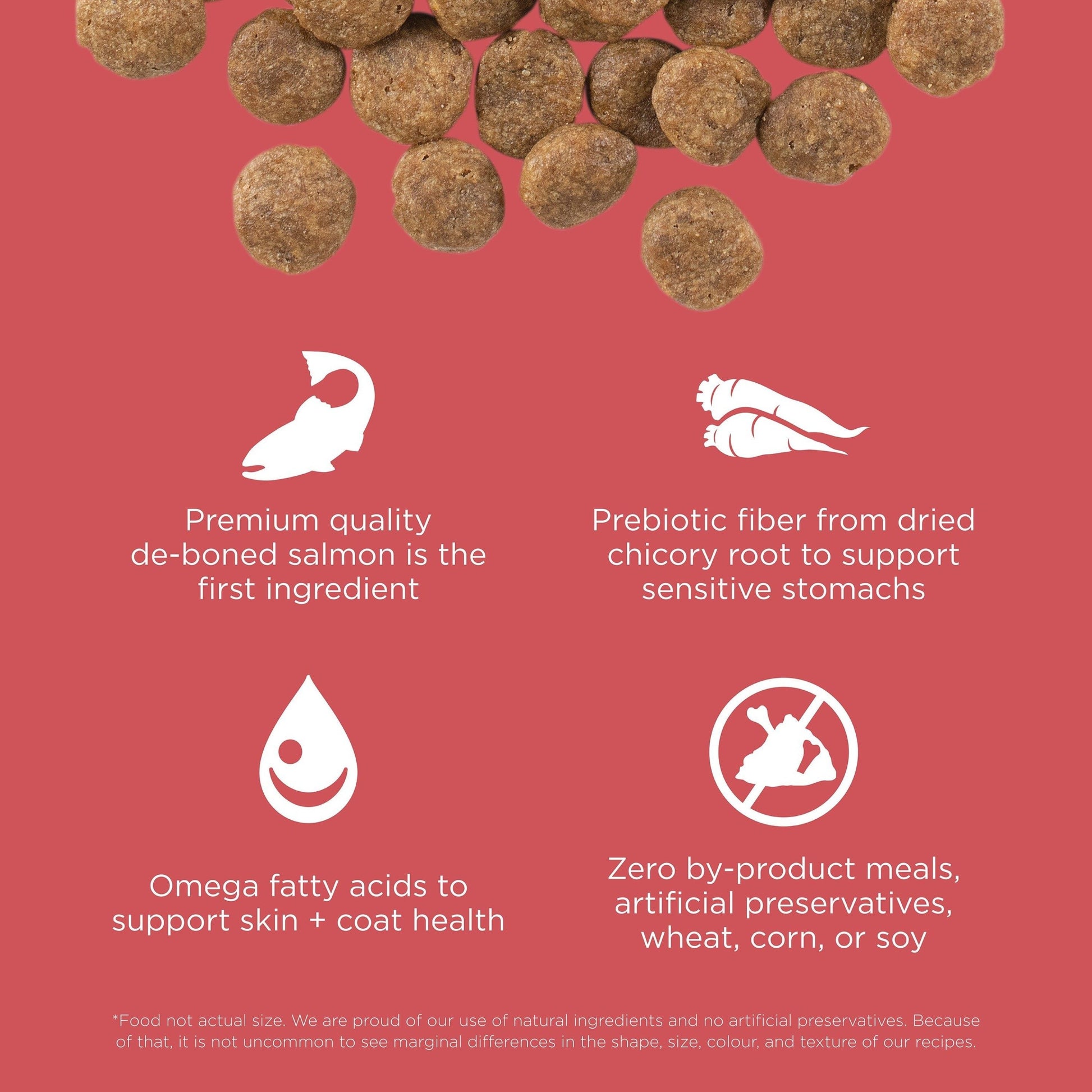 Above four icons highlighting benefits—deboned salmon, prebiotic fiber, omega fatty acids, and no artificial ingredients—sits Go! Solutions SENSITIVITIES Grain Free Limited Ingredient Salmon Recipe Dog Food.