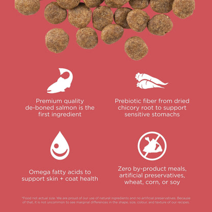 Above four icons highlighting benefits—deboned salmon, prebiotic fiber, omega fatty acids, and no artificial ingredients—sits Go! Solutions SENSITIVITIES Grain Free Limited Ingredient Salmon Recipe Dog Food.