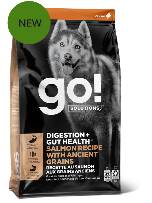 A black and orange bag of Go! Solutions Digestion + Gut Health Salmon with Ancient Grains dog food, showing a husky on the front and a green "NEW" circle at the top left.
