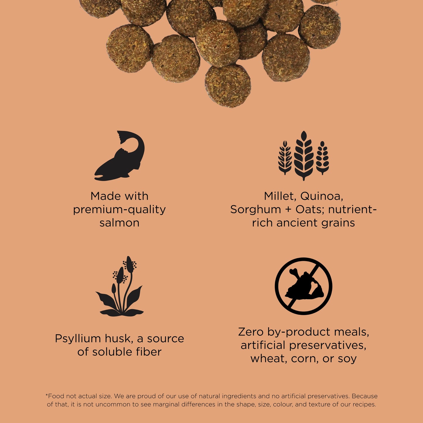 GO! Solutions Digestion + Gut Health Salmon with Ancient Grains by Go! Solutions features salmon, ancient grains, and psyllium husk—no by-product meals or preservatives—making it perfect for your dog's digestion and gut health.