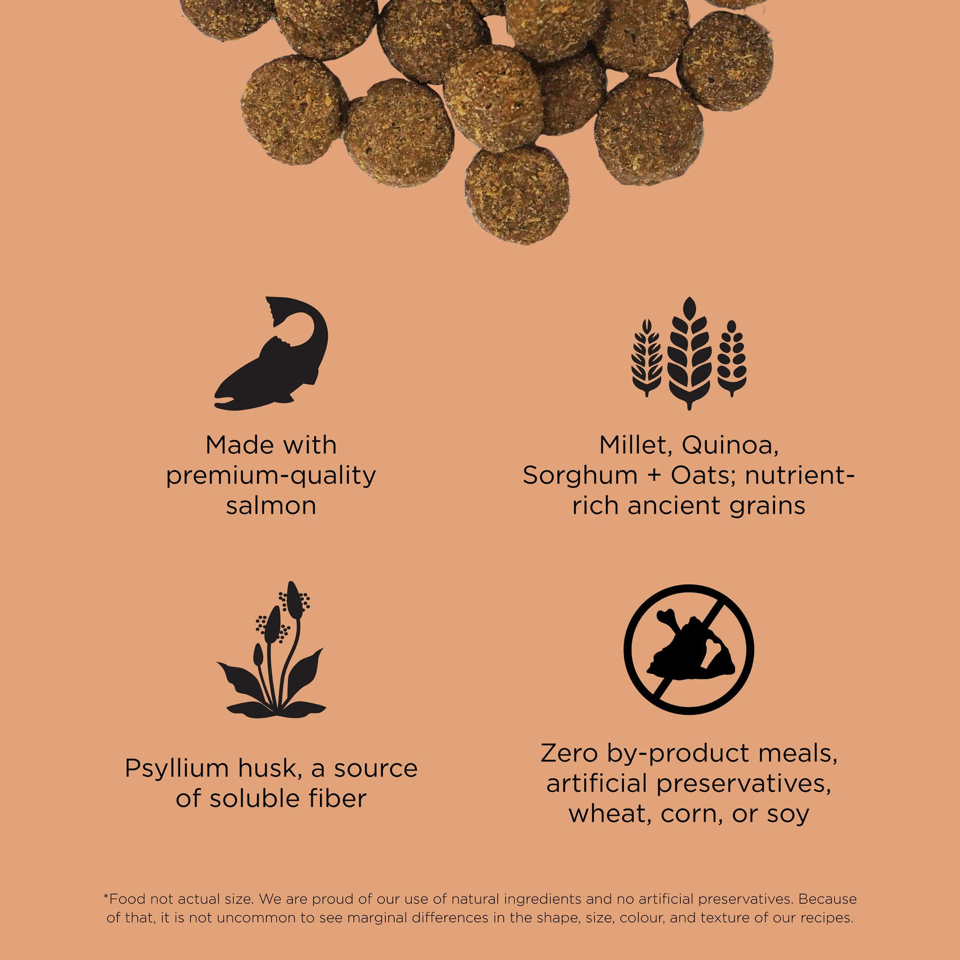 GO! Solutions Digestion + Gut Health Salmon with Ancient Grains by Go! Solutions features salmon, ancient grains, and psyllium husk—no by-product meals or preservatives—making it perfect for your dog's digestion and gut health.