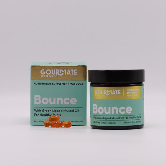 A jar and box of "Gourmate Pet Treat Co. Bounce With Green Lipped Mussel Oil for Healthy Joints" nutritional supplement from Your Whole Dog, featuring green-lipped mussel oil and omega-3s. Seven orange softgel capsules are provided to support joint health. Made in New Zealand.