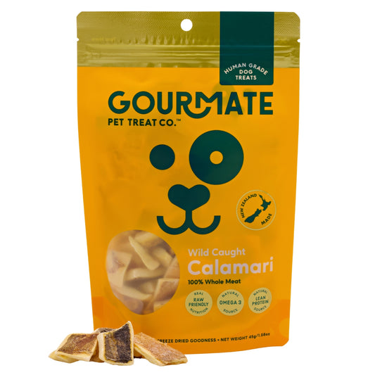 A vibrant yellow package of Your Whole Dog's Gourmate Pet Treat Co. Wild Caught Calamari features small pieces of hypoallergenic calamari, rich in Omega-3 fatty acids, on the front.