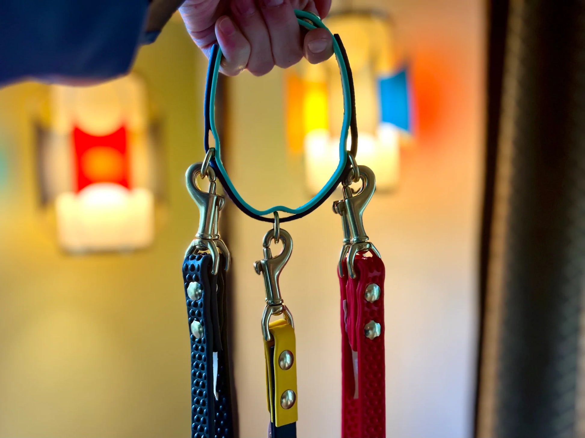 A neat freaks holding a Trailblazing Tails: The Leash Organiser with different colored leashes from Your Whole Dog.