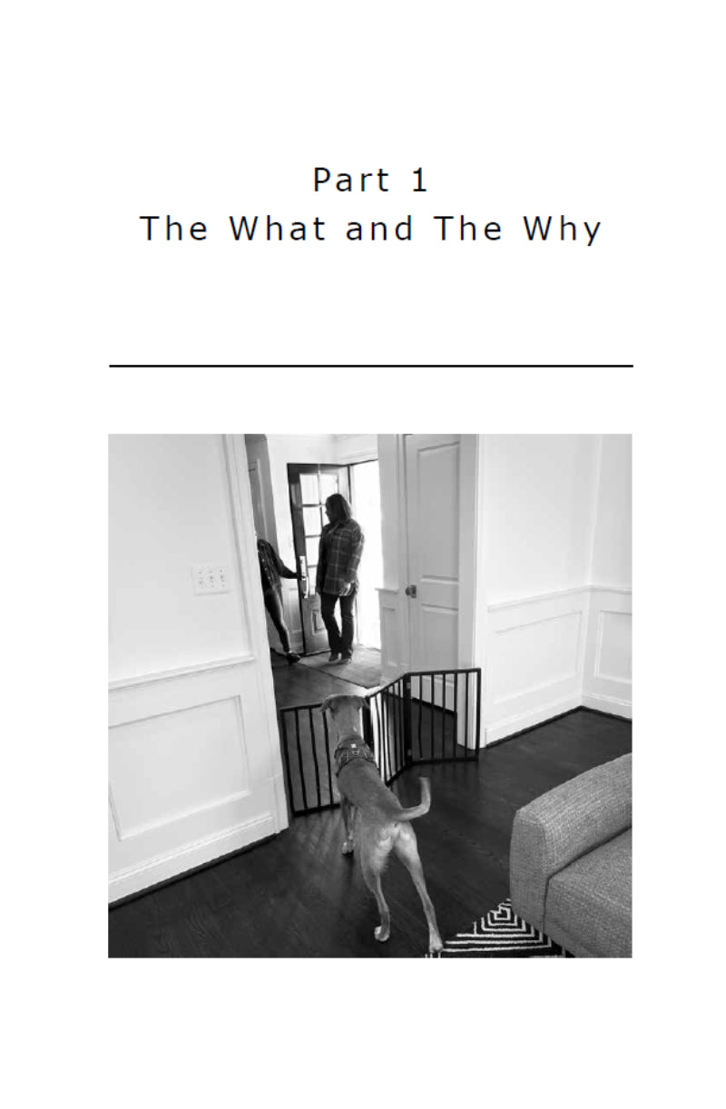 A dog stands behind a pet gate in the living room—showcasing behavior management as detailed in "Manage It! Hacks for Improving Your Dog’s Behavior" by Juliana De Willems from Your Whole Dog.