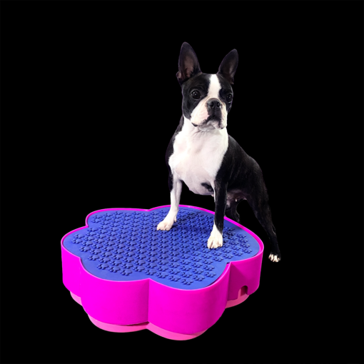 Boston terrier balancing on a pink flower using the Flexiness PawStep by Your Whole Dog.