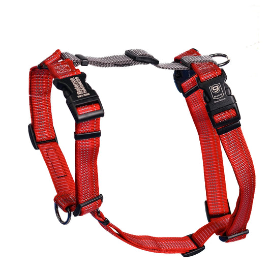 The Blue-9 REFLECTIVE Balance Harness, available for pre-order, is made of lightweight nylon with black plastic buckles and metal rings. It offers adjustability and safety.