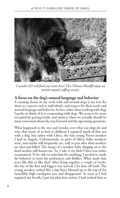 A Tibetan Mastiff tracks scents outdoors, showcasing its strong nose. The book "A Dog's Fabulous Sense of Smell: Step by Step Treat Search Tracking" by Anne Lill Kvam (Your Whole Dog) guides you on using scent games for better behaviour management.