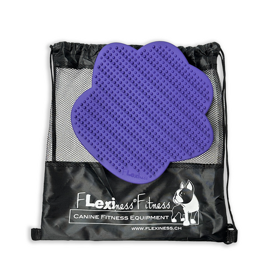 A purple Flexiness SensiPawDisc paw-shaped balance pad rests on a black Flexiness Canine Fitness Equipment drawstring bag—perfect for dog balance training and canine fitness enthusiasts.