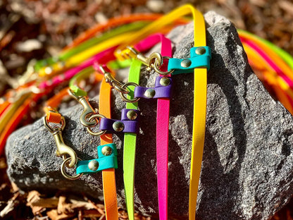 A group of durable and colorful Your Whole Dog BioThane dog leashes laying on a rock.