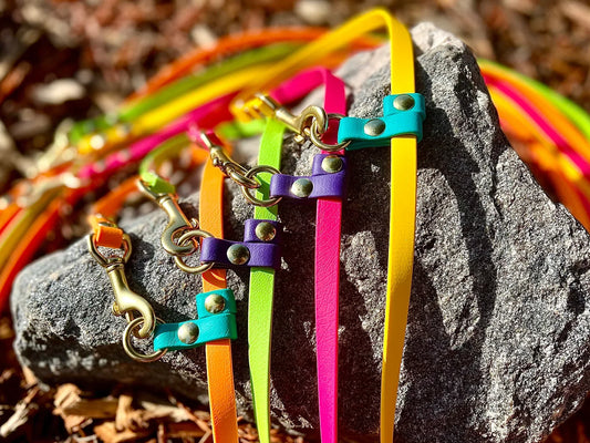 A group of durable and colorful Your Whole Dog BioThane dog leashes laying on a rock.