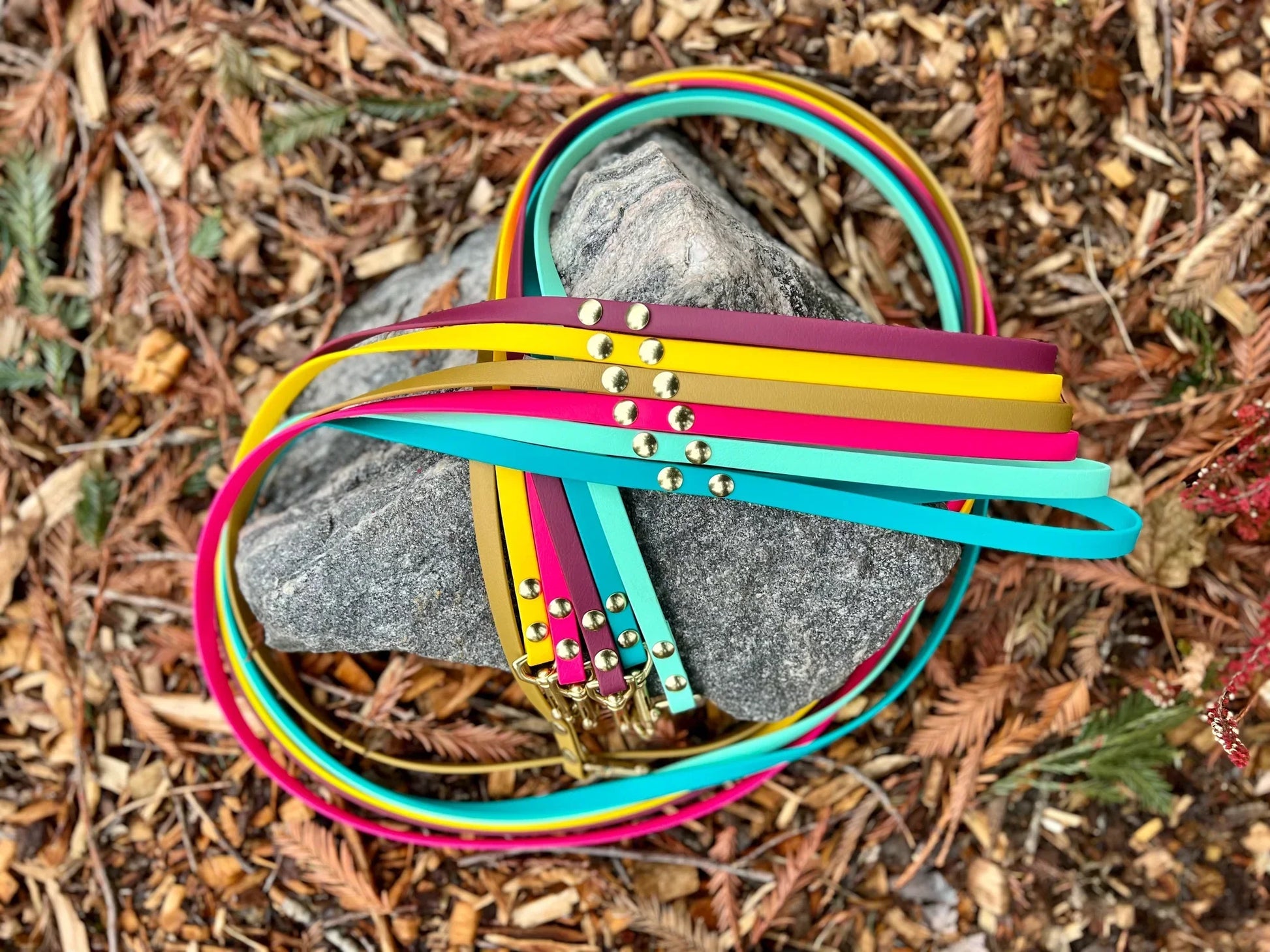 A colorful Trailblazing Tails: The Shadow Long Line with SLIDE TAB HANDLE - PRE-ORDER dog leash by Your Whole Dog laying on a rock.