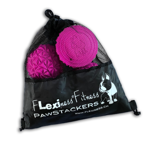 Pre-order pink Flexiness ToyPawStackers for flexible fitness shipment - Your Whole Dog.