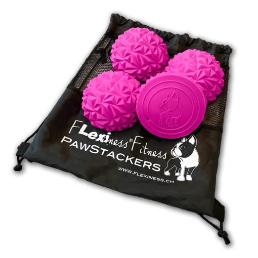 Four pink Flexiness ToyPawStackers balls are available for pre-order.