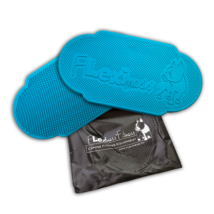 The Flexiness TwinDisc - PRE-ORDER by Your Whole Dog is a blue canine fitness equipment with textured surfaces, featuring a dog graphic. It comes placed in a black carrying bag adorned with the brand's logo. Ideal for muscle building and balance training.