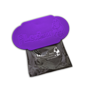 A purple canine fitness tool labeled "Flexiness TwinDisc - PRE-ORDER" from Your Whole Dog sits on top of a black drawstring bag with a white logo and a dog illustration, ideal for balance training and muscle building.