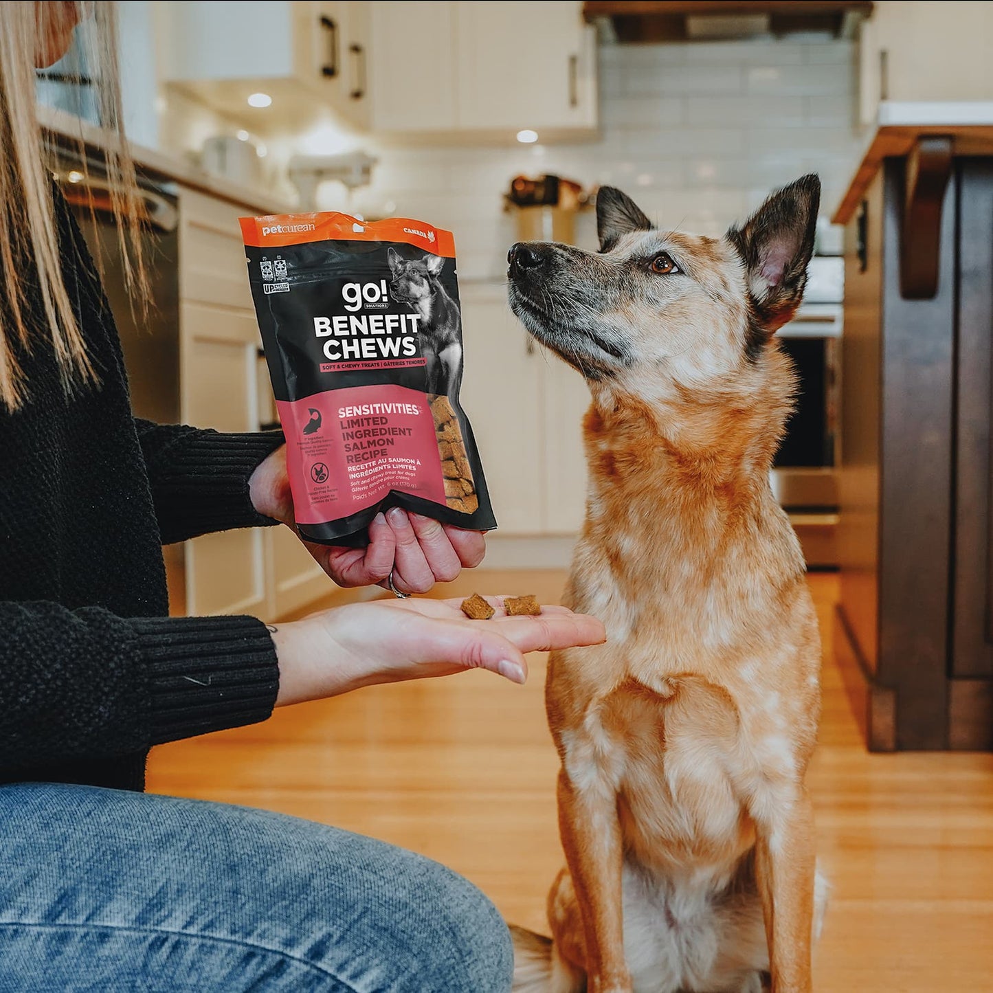 In a kitchen, a person offers salmon dog treats and a bag of GO! SOLUTIONS Benefit Chews Sensitivities Salmon (170g) to a sitting dog.