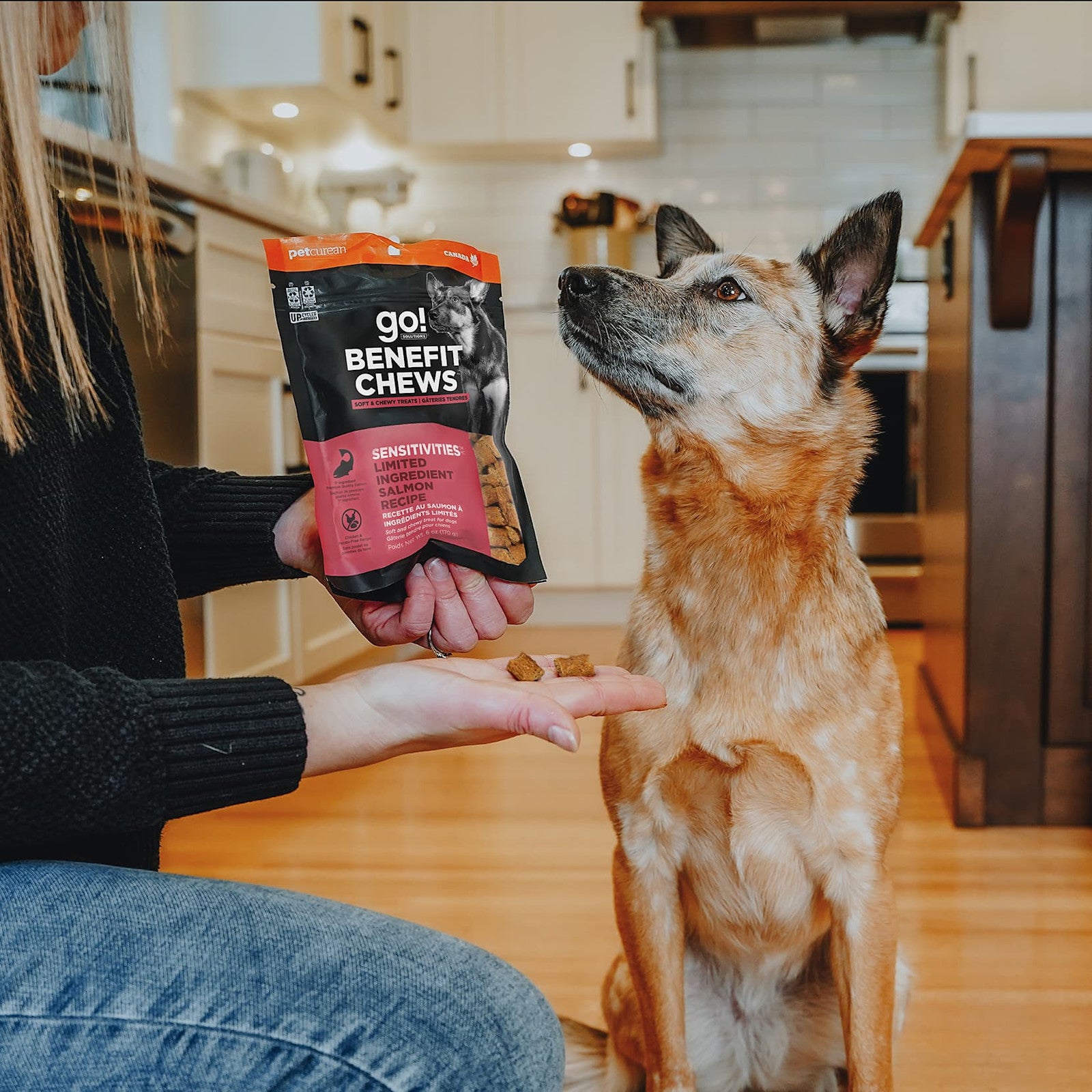 In a kitchen, a person offers salmon dog treats and a bag of GO! SOLUTIONS Benefit Chews Sensitivities Salmon (170g) to a sitting dog.