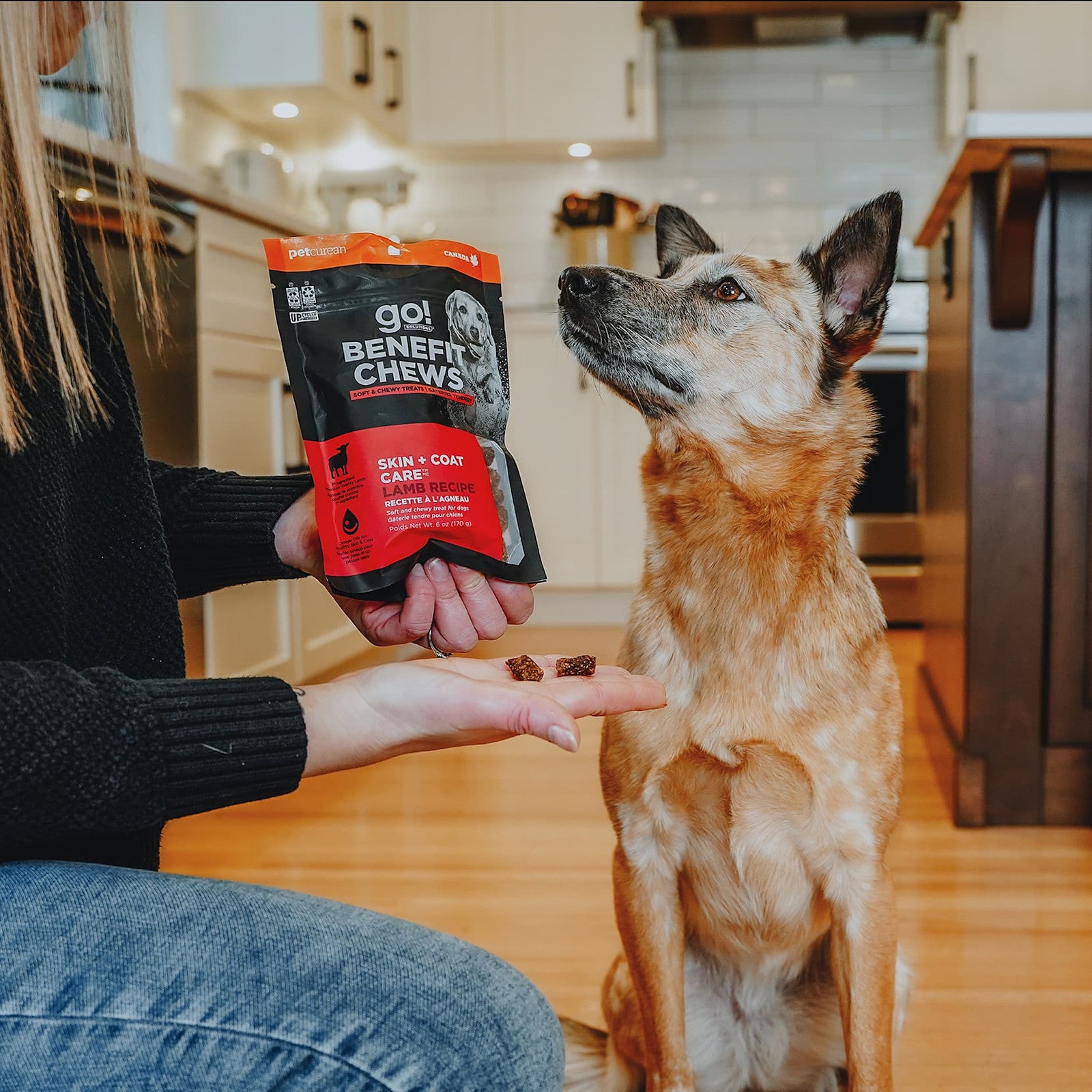 A person holds out two GO! SOLUTIONS Benefit Chews SKIN + COAT Lamb treats by Go! Solutions, along with the chews bag, as a dog sits on the kitchen floor eagerly watching the treats.