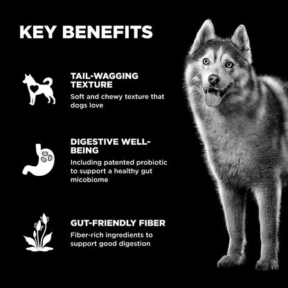 A happy dog stands by text highlighting GO! SOLUTIONS Benefit Chews Digestion + Gut Health Salmon’s gut-boosting fiber, tail-wagging texture, and digestion support—each benefit shown with playful icons—by Go! Solutions.
