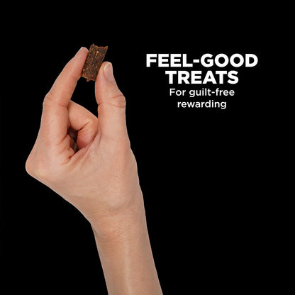 A hand holds a GO! SOLUTIONS Benefit Chews SKIN + COAT Lamb (170g) treat, with text "FEEL-GOOD TREATS For guilt-free rewarding" beside it, highlighting Go! Solutions chews rich in omega fatty acids for healthy, happy pups.