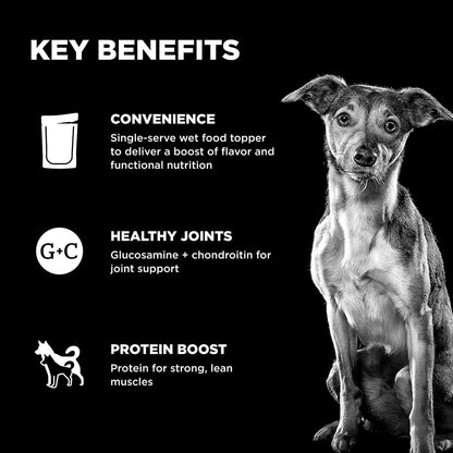A dog sits beside text listing benefits: convenient, supports healthy joints with glucosamine chondroitin for joint care, and provides a protein boost—making GO! SOLUTIONS Booster Joint Care Chicken, Salmon + Duck Pate by Your Whole Dog an ideal topper.