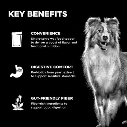 A dog stands by three key benefits—convenience, digestive comfort, and gut-friendly fiber—plus joint support from glucosamine chondroitin in Your Whole Dog's GO! SOLUTIONS Booster Digestive Health Chicken + Duck Pate (79g).