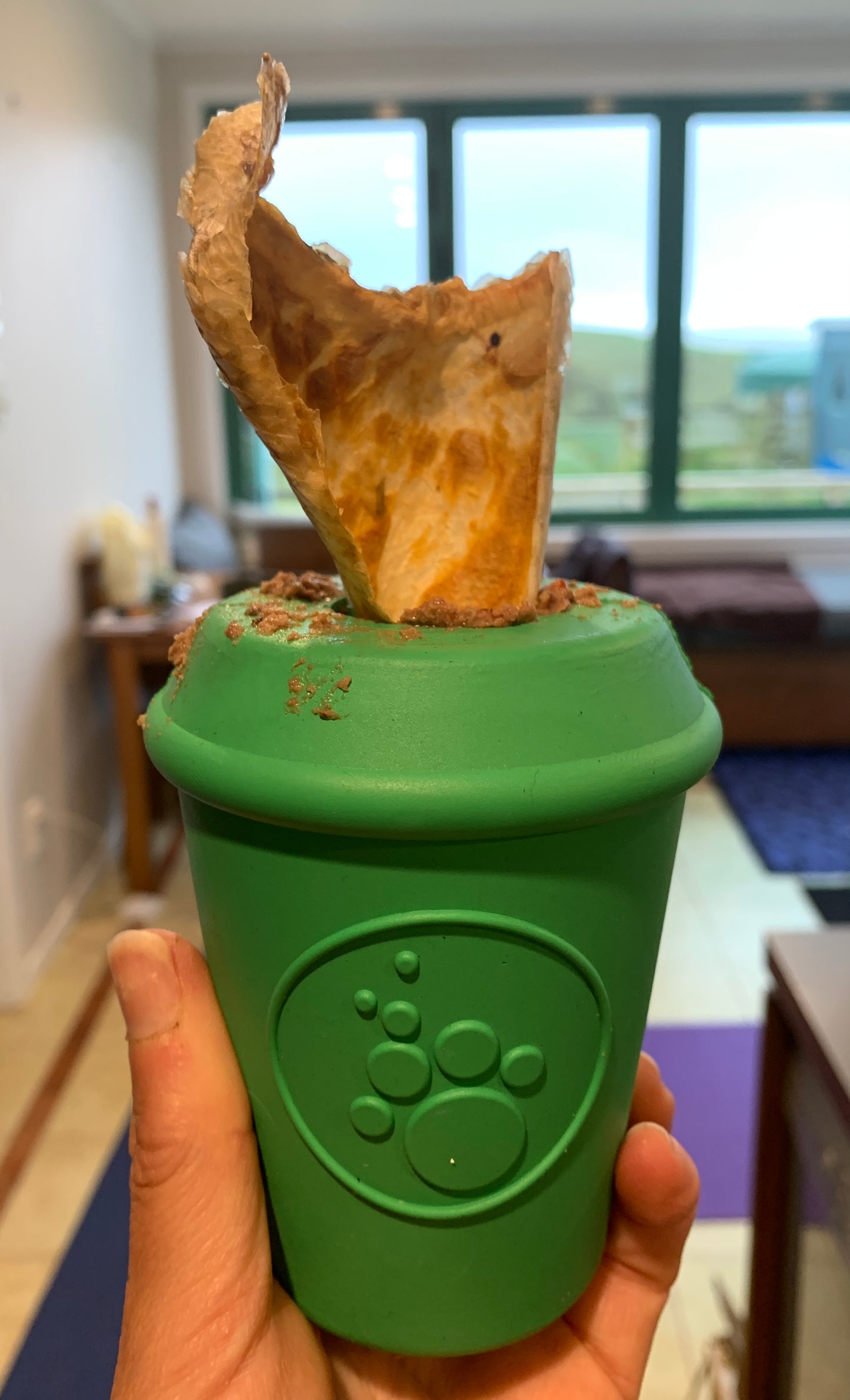 A person holding a green cup with a piece of pizza in it from the CLEARANCE: Soda Pup COFFEE CUP TOY & TREAT DISPENSER (M & L) by Your Whole Dog brand.