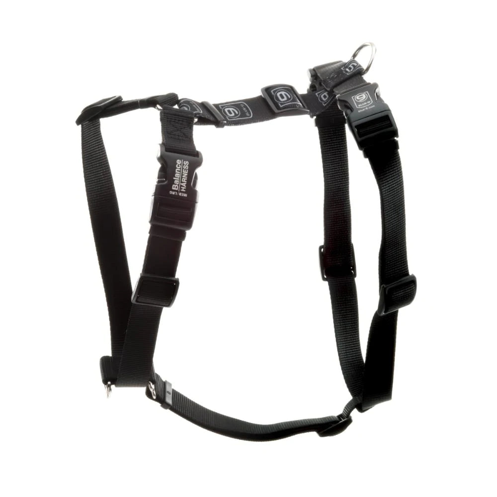 A Blue-9: Balance Harness from Your Whole Dog on a white background.