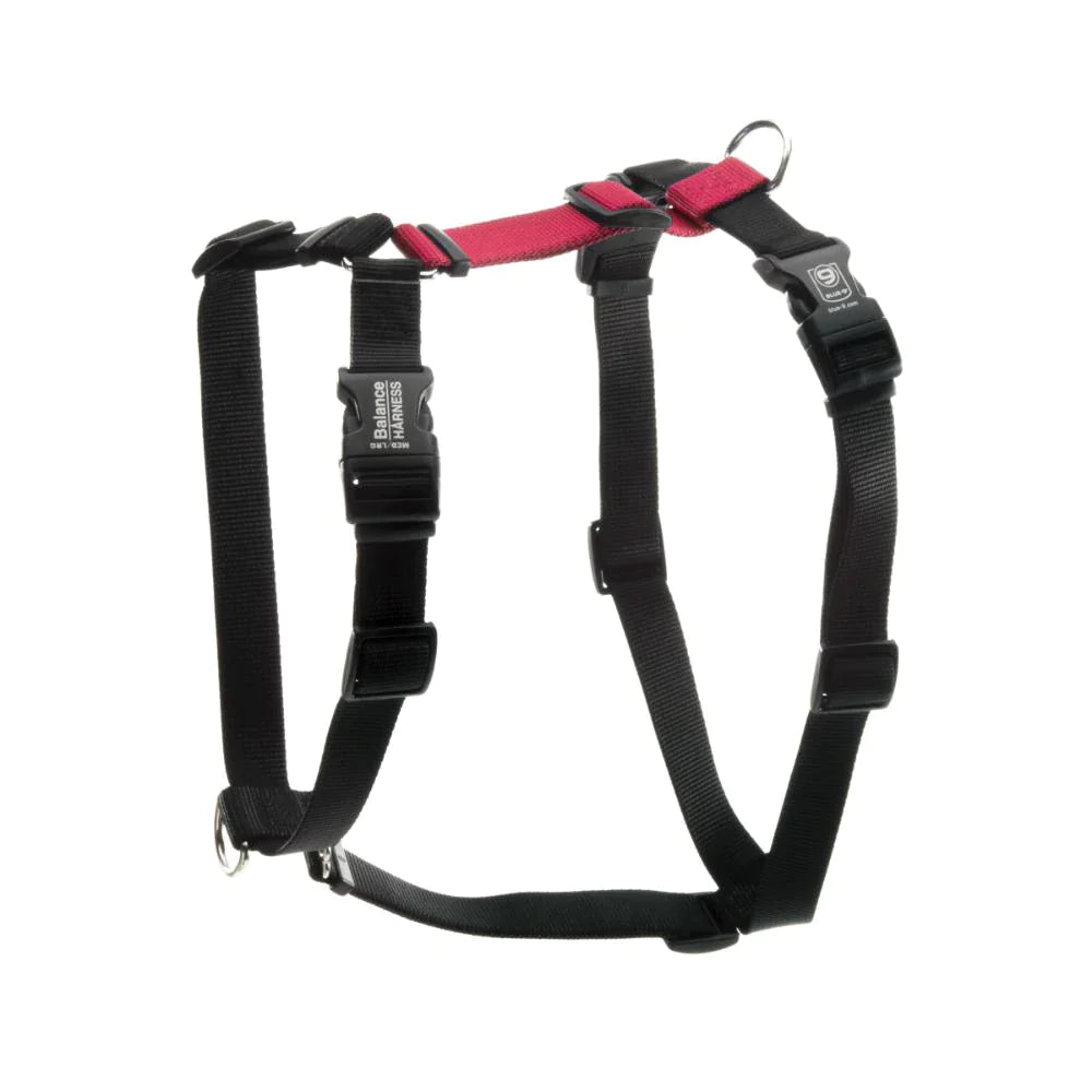 A pre-order adjustable dog harness in black and red on a white background, featuring Your Whole Dog's Blue-9: Balance Harness - PRE-ORDER.