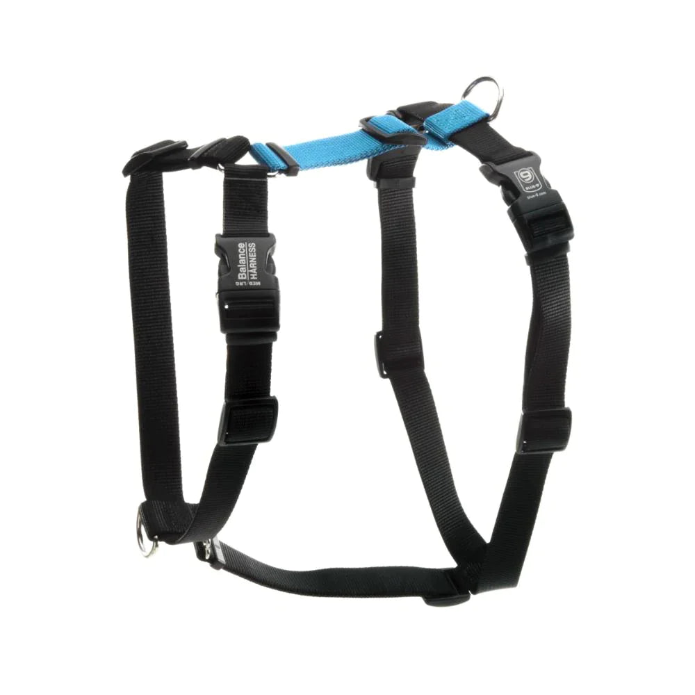 A Blue-9: Balance Harness - PRE-ORDER with adjustable straps on a white background from Your Whole Dog.