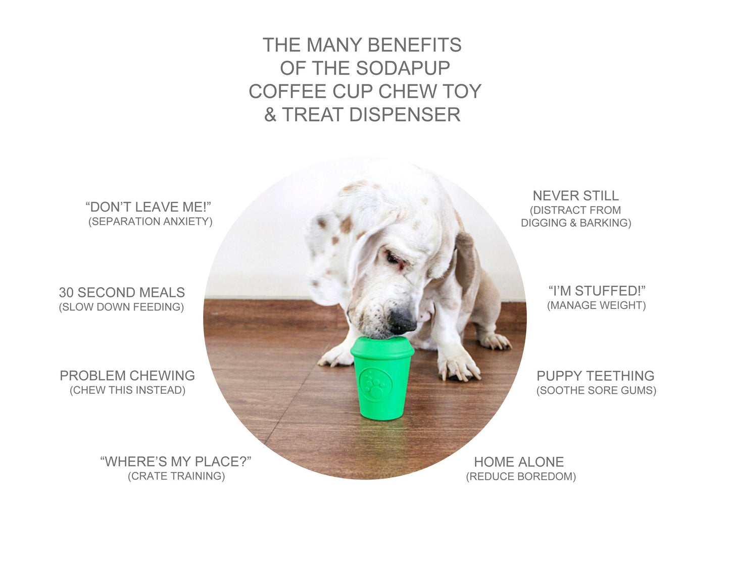 Explore the incredible benefits of the CLEARANCE: Your Whole Dog Soda Pup COFFEE CUP TOY & TREAT DISPENSER (M & L), featuring a durable chew toy and treat dispenser.