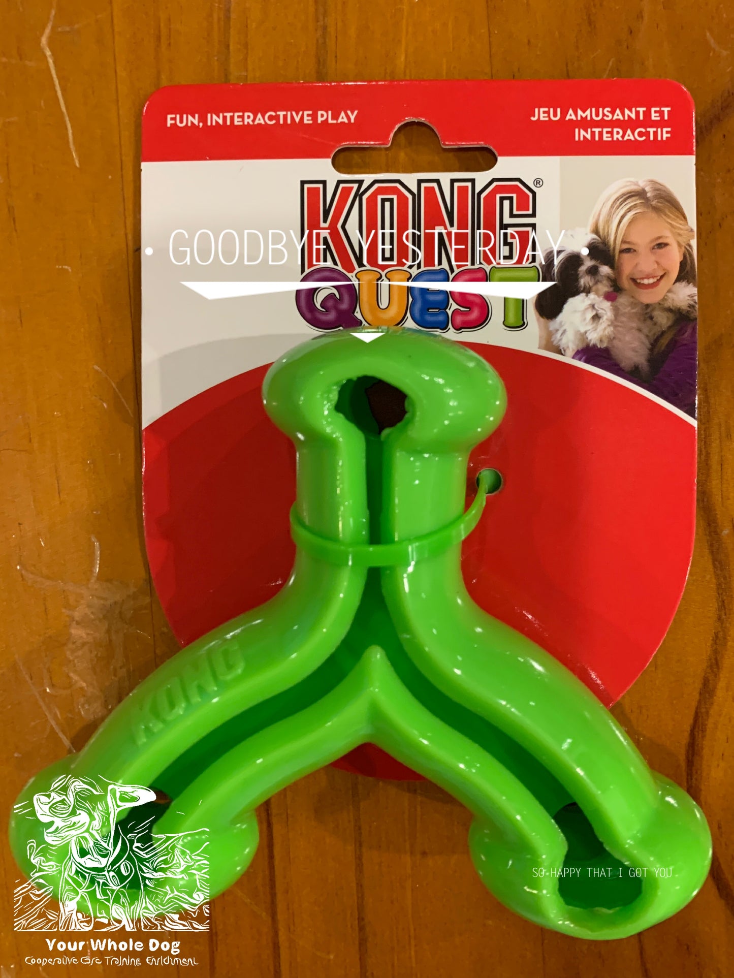 A bright green, three-pronged KONG Quest Wishbone treat-dispensing toy in plastic packaging labeled "CLEARANCE: KONG Quest Wishbone" with a “Fun, Interactive Play” tagline. The package features an image of a woman holding a dog and encourages foraging behaviors. Brand logo: Your Whole Dog.