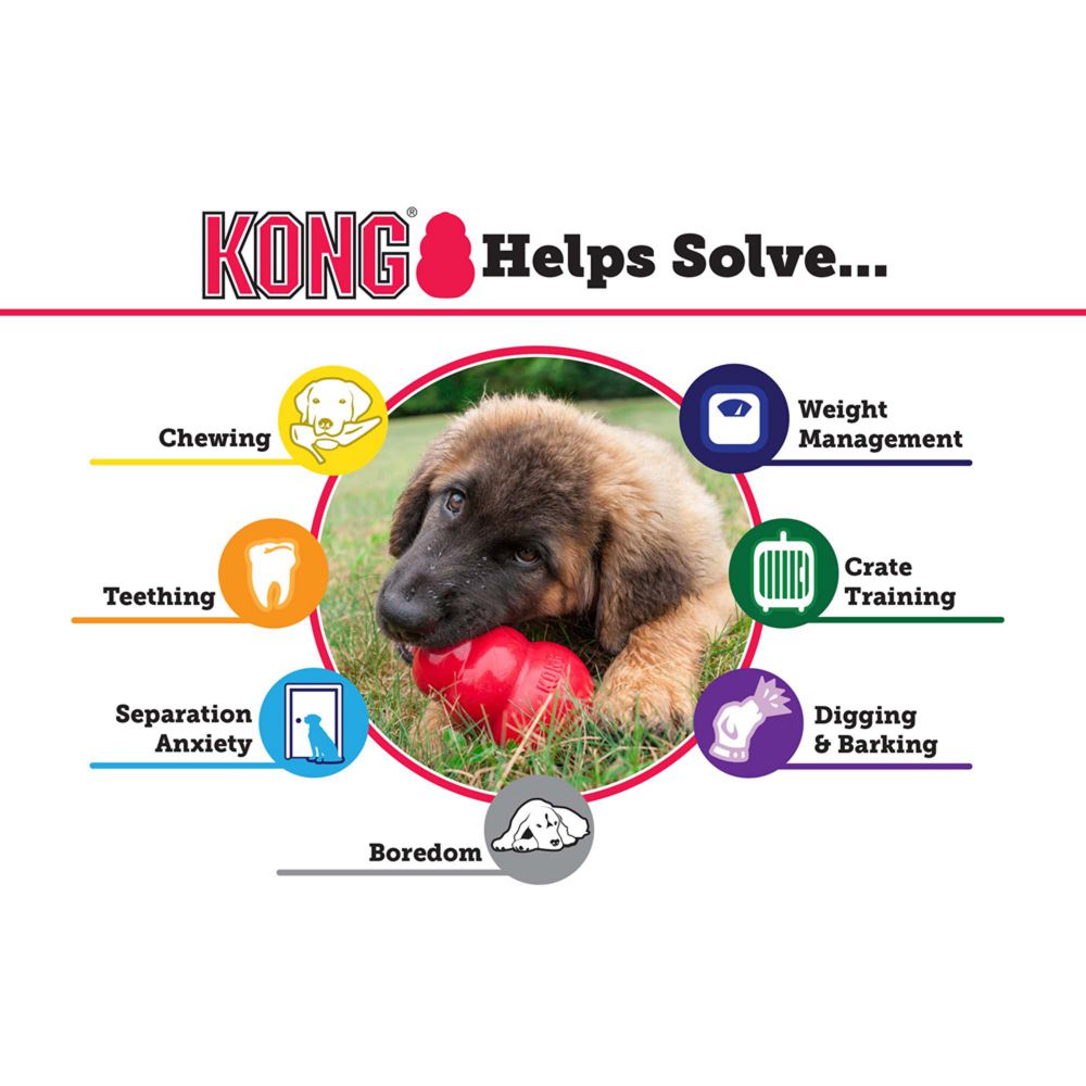 Your Whole Dog's SALE: KONG Classic Puppy helps solve dog chew toy.