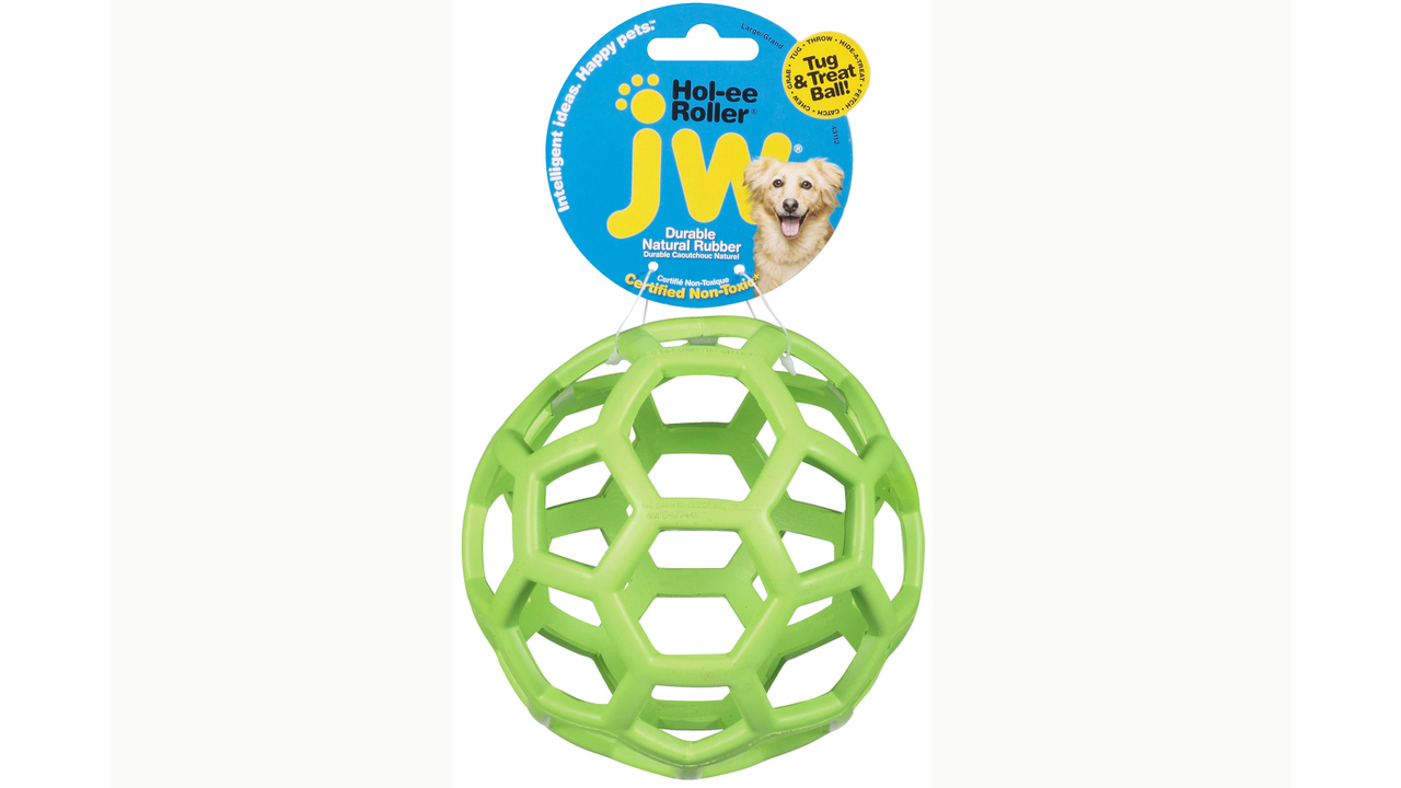 A large green JW Hol-ee Roller ball. Available from Your Whole Dog.
